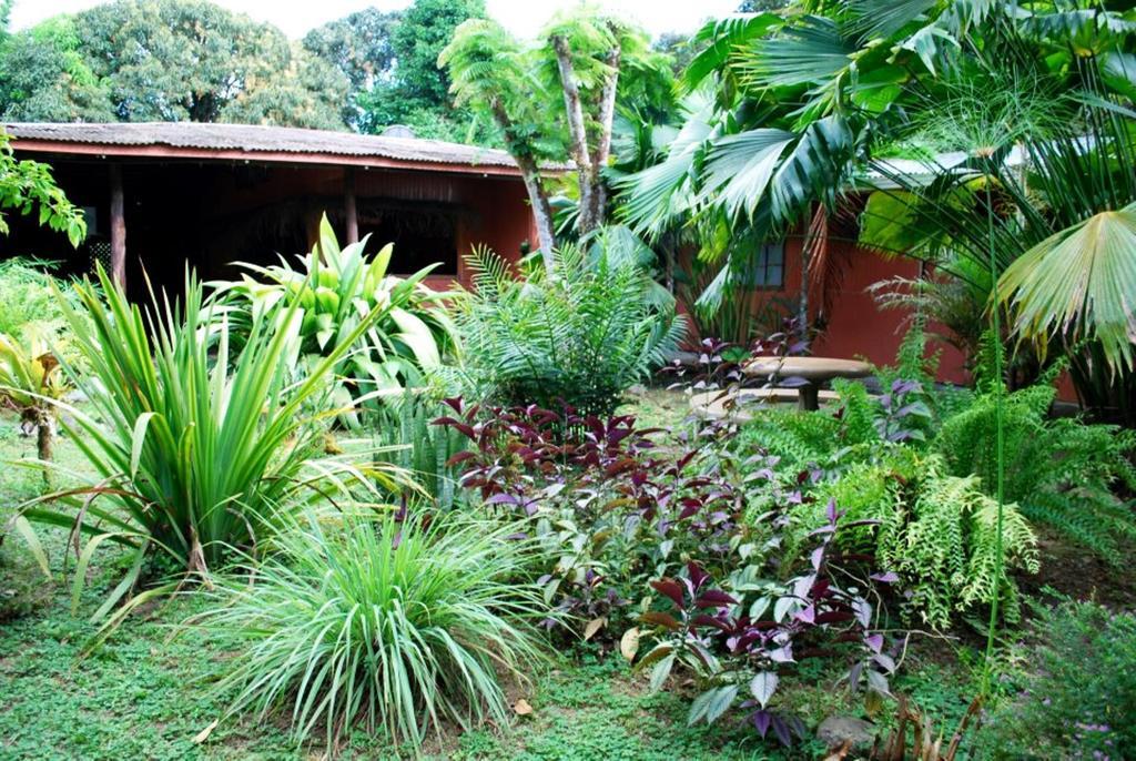 Los Mineros Guesthouse Dos Brazos Exterior foto